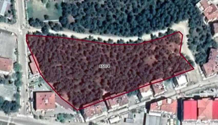 AKP'li Boyabat Belediyesi, 13 dönümlük ormanlık alanı imara açtı