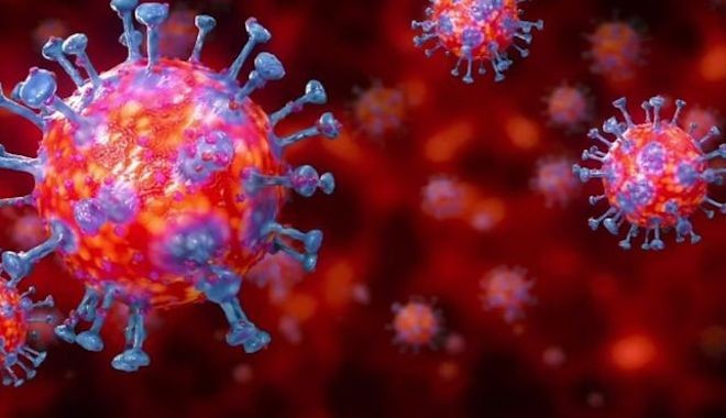 Koronavirüs bir yılda 12 bin mutasyon geçirdi: PCR testleri de güncellenmeli