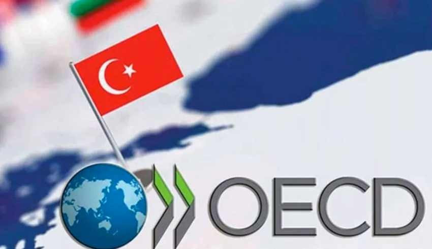 OECD’den Türkiye raporu: Enflasyon bu yıl yüzde 73,2 olacak